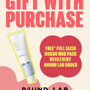 GWP Round Lab Dokdo Mud 100ml
